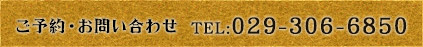 029-306-6850