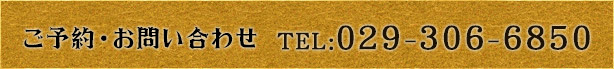 TEL 029-306-6850